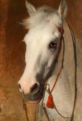 Friedrich von Amerling, Schimmelkopf aus Grafenegg, 1851, Öl auf Leinwand, 77,5 × 54,5 cm, Unbe ...