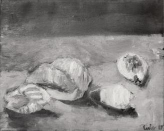 Georg Eisler, Muscheln I, 1969, Öl auf Leinwand, 36 × 45 cm, Verbleib unbekannt