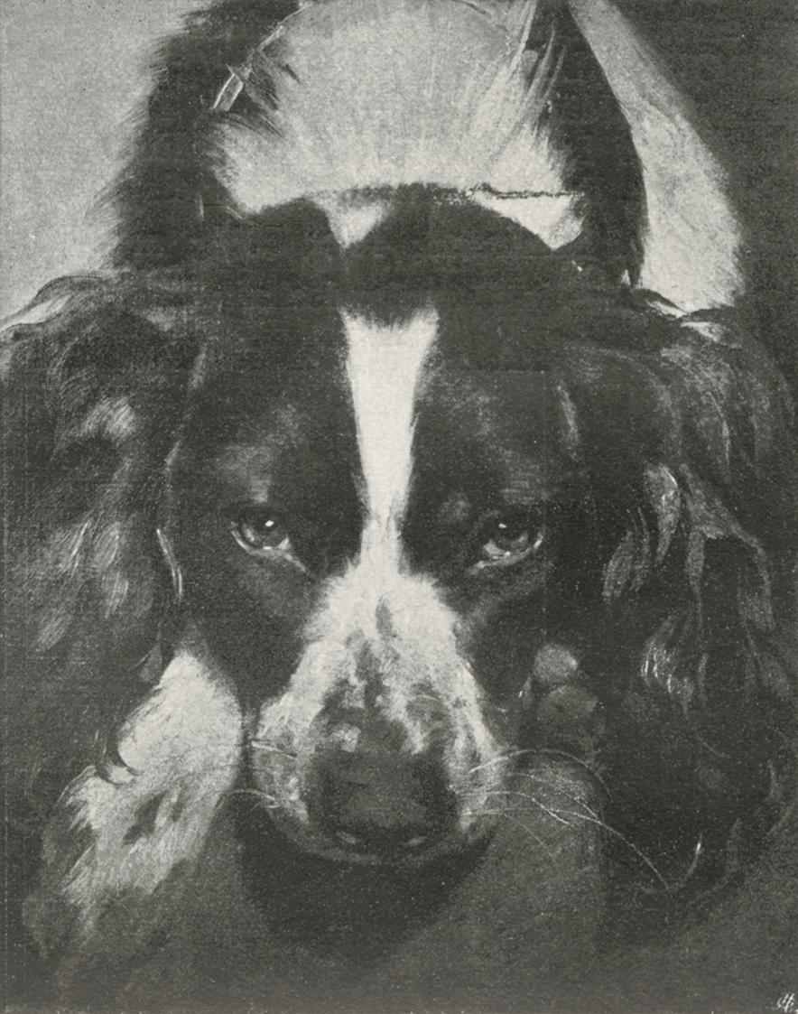 Friedrich von Amerling, Hund Tâche, 1839, Öl auf Leinwand, 26,5 × 20,5 cm, Unbekannter Besitz