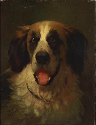 Friedrich von Amerling, Kopf eines Bernhardinerhundes, 1865, Öl auf Leinwand, 50,5 × 39,5 cm, P ...