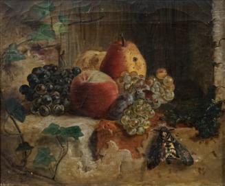 Tina Blau, Früchte, 1859, Öl auf Leinwand, 26,5 × 32 cm, Privatbesitz, New York