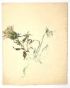 Otto Rudolf Schatz, Frau in blauem Badeanzug, um 1944, Aquarell auf Papier, Blattmaße: 25 × 32, ...