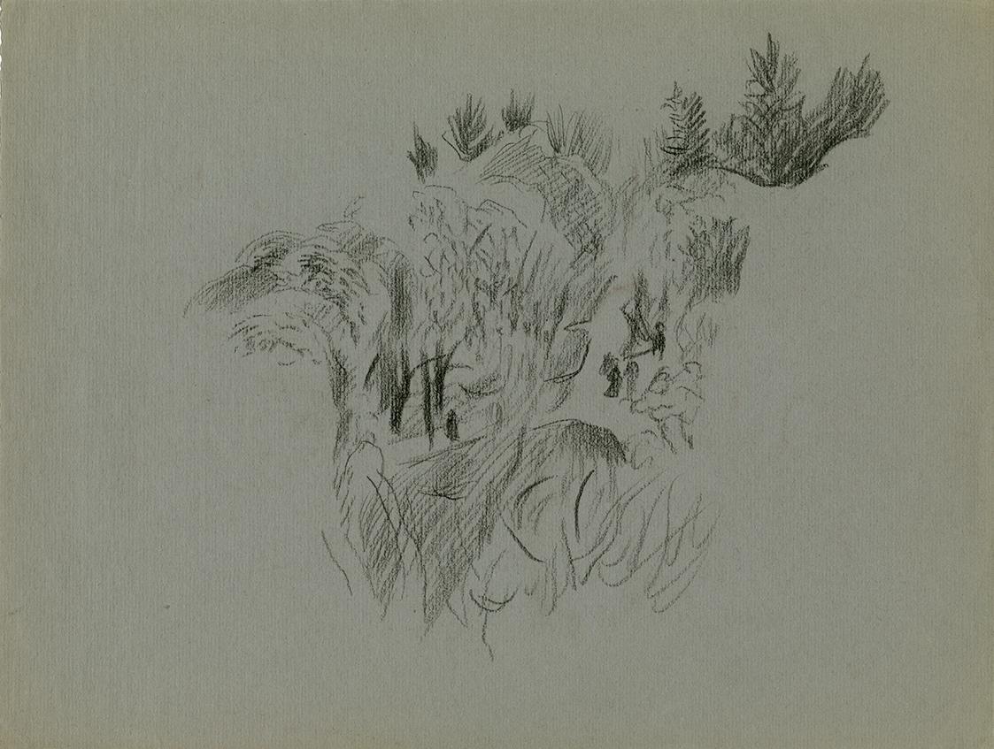 Alfred Wickenburg, Felsen mit Pflanzen, 1940/1945, Kohle auf Papier, Blattmaße: 24,4 × 32,4 cm, ...