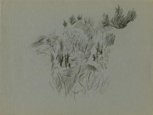 Alfred Wickenburg, Felsen mit Pflanzen, 1940/1945, Kohle auf Papier, Blattmaße: 24,4 × 32,4 cm, ...