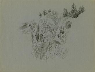 Alfred Wickenburg, Felsen mit Pflanzen, 1940/1945, Kohle auf Papier, Blattmaße: 24,4 × 32,4 cm, ...