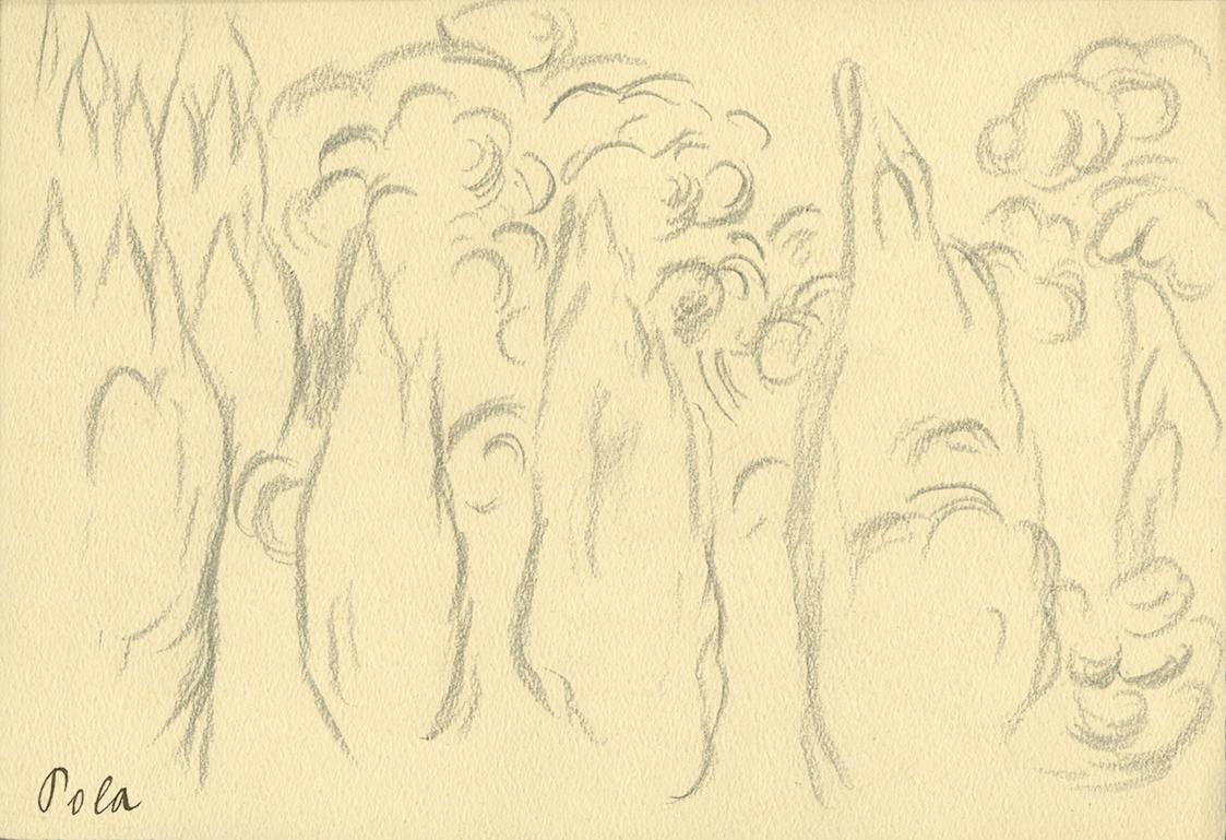 Alfred Wickenburg, Bäume, Pola, 1920/1923, Graphit auf Papier, Blattmaße: 15,2 × 22 cm, Privatb ...