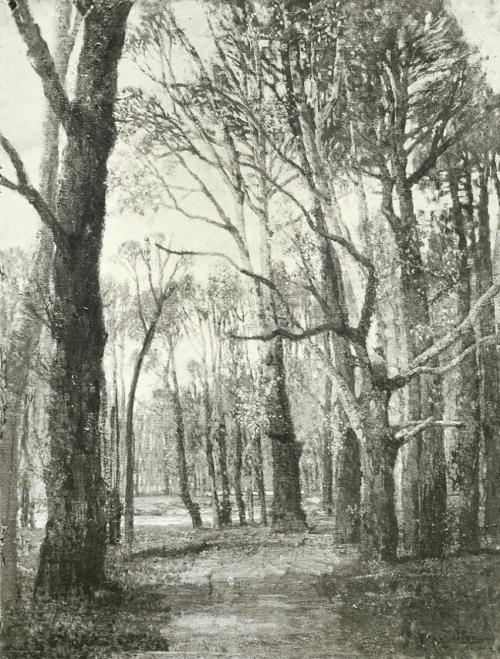 Tina Blau, Frühling. Krieau, 1912, Öl, unbekannter Verbleib