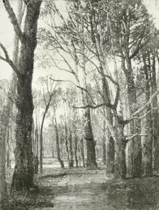 Tina Blau, Frühling. Krieau, 1912, Öl, unbekannter Verbleib